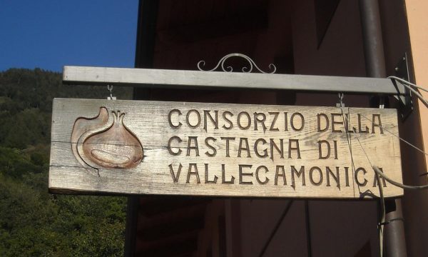 Castagne in vendita